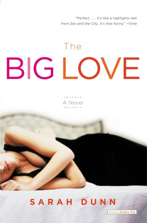 Cover of the book The Big Love by Sarah Dunn, Little, Brown and Company