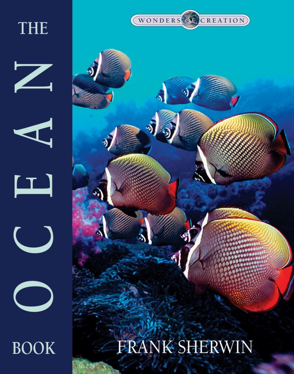 Big bigCover of The Ocean Book