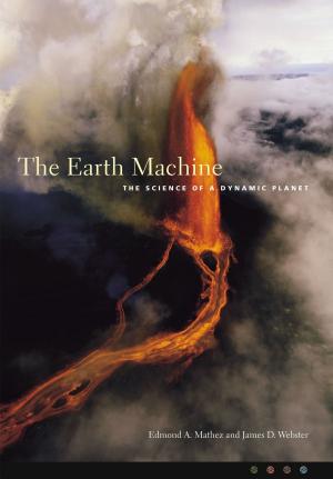 Cover of the book The Earth Machine by Avrum Stroll