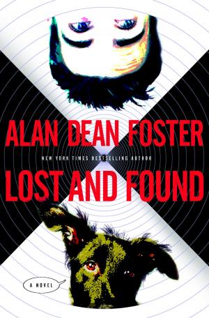 Cover of the book Lost and Found by Eric Bray