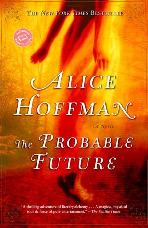 Book cover of The Probable Future