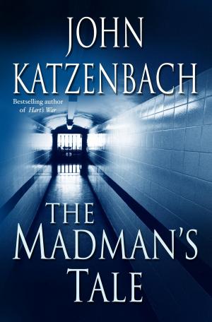 Book cover of The Madman's Tale