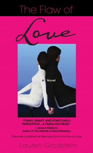Cover of the book The Flaw of Love by R.N. Crane