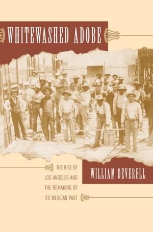 Cover of the book Whitewashed Adobe by W. Joseph Campbell