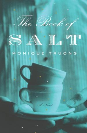 bigCover of the book The Book of Salt by 