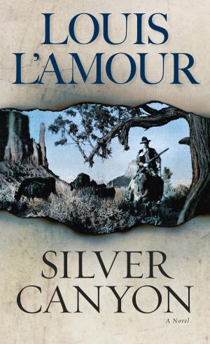 Cover of the book Silver Canyon by Francis Parkman