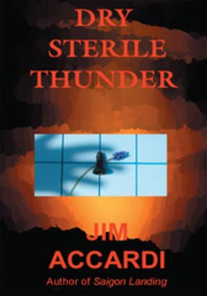 Cover of the book Dry Sterile Thunder by Jeanne Glidewell