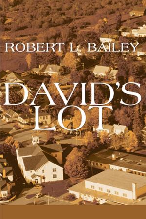 Cover of the book David's Lot by Stefani Stevenson, Tiffany Elmquist