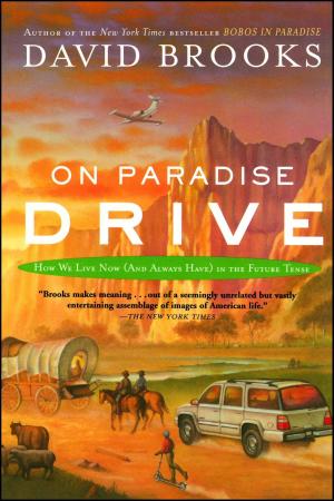 Cover of the book On Paradise Drive by Roz Savage