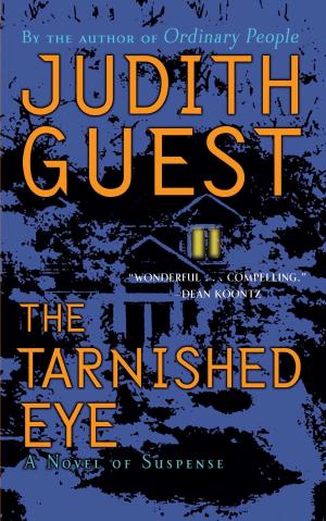 Cover of the book The Tarnished Eye by Sandy Allen