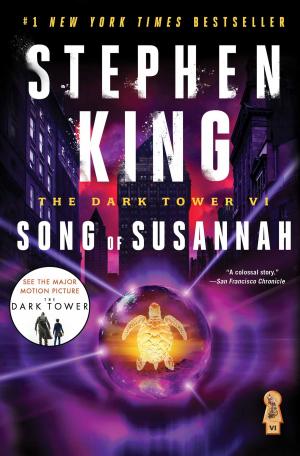 Cover of the book The Dark Tower VI by Hannah Tunnicliffe