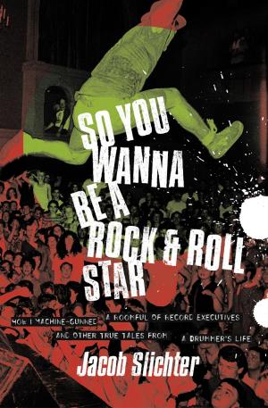 Cover of the book So You Wanna Be a Rock &amp; Roll Star by Jim Kenny