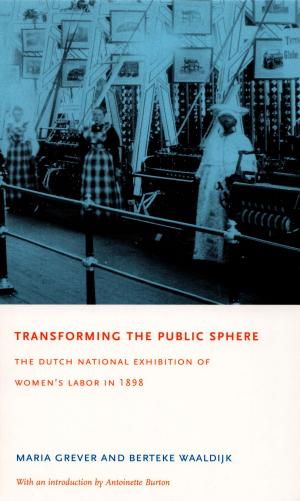 bigCover of the book Transforming the Public Sphere by 