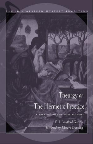 Cover of the book Theurgy, or the Hermetic Practice by Ashok Bedi MD