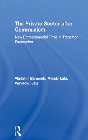 Book cover of The Private Sector after Communism