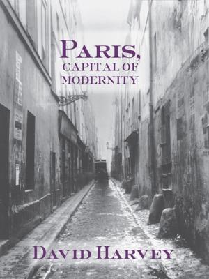 Book cover of Paris, Capital of Modernity