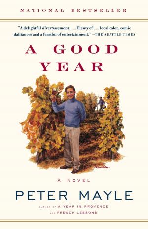Cover of the book A Good Year by Jonathan Ames