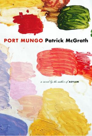 Cover of the book Port Mungo by Anne Somerset