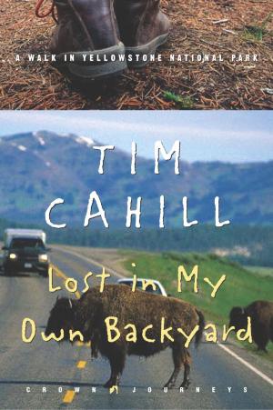 Cover of the book Lost in My Own Backyard by Rob Bignell