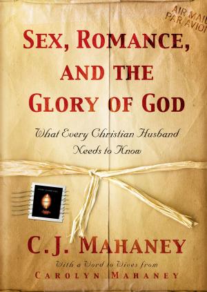 Book cover of Sex, Romance, and the Glory of God (With a word to wives from Carolyn Mahaney): What Every Christian Husband Needs to Know