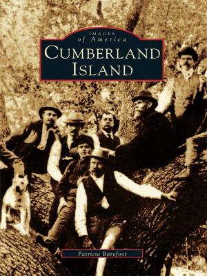 Cover of the book Cumberland Island by Lizzie PRB Jenkins