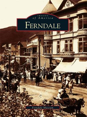 Book cover of Ferndale