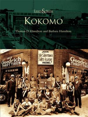 Cover of the book Kokomo by John E.L. Robertson
