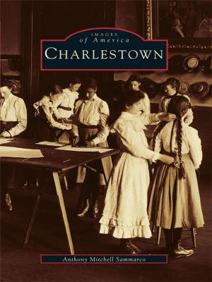 Cover of the book Charlestown by E.J. Stephens, Kim Stephens