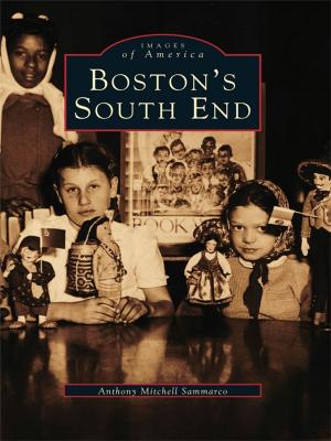 Cover of the book Boston's South End by Michael J. Maddigan