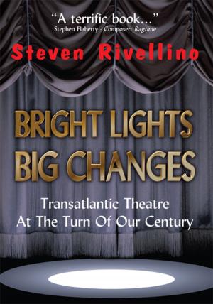 Cover of Bright Lights, Big Changes