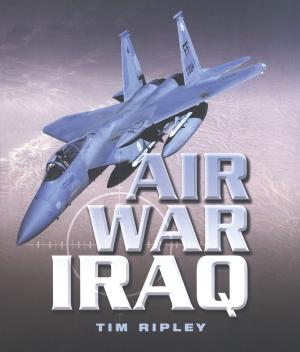 Book cover of Air War Iraq