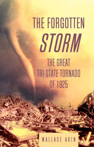 Cover of the book The Forgotten Storm by Tracy Salcedo