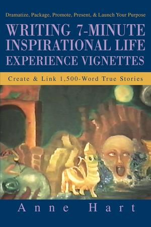Cover of the book Writing 7-Minute Inspirational Life Experience Vignettes by Paul D. Lunde