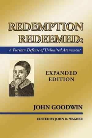 Cover of the book Redemption Redeemed by Eric Faye