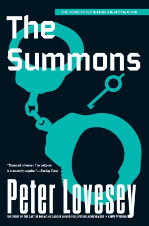 Cover of the book The Summons by Qiu Xiaolong