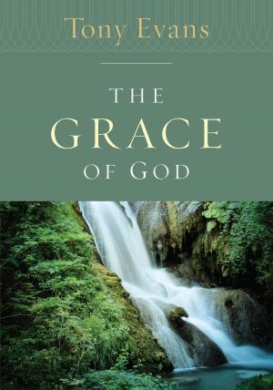 Cover of the book The Grace of God by Lois Evans