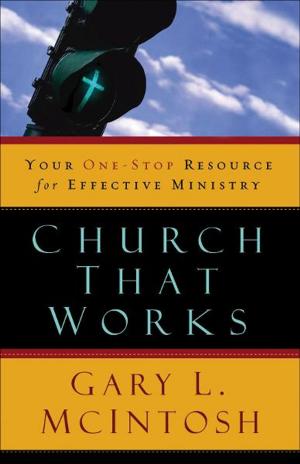 Cover of the book Church That Works by Craig G. Bartholomew