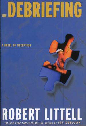 Cover of the book The Debriefing by Fiona Robinson