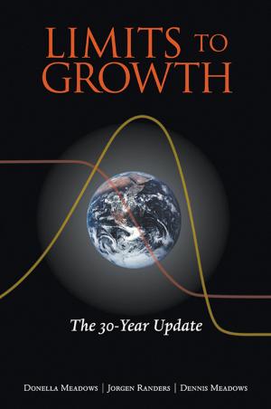 Cover of the book Limits to Growth by Paul Gipe