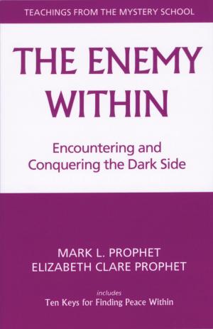 Cover of the book The Enemy Within by Prasant