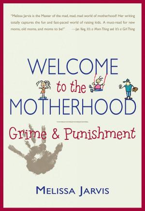 Book cover of Welcome to the Motherhood