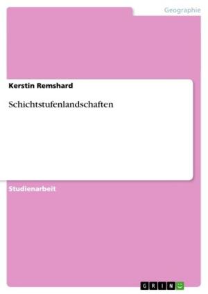Cover of the book Schichtstufenlandschaften by Bernadette Wonner