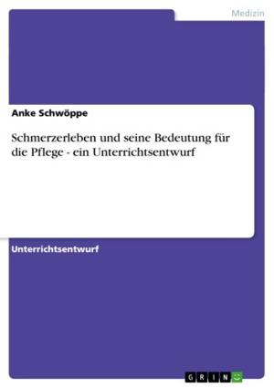 Cover of the book Schmerzerleben und seine Bedeutung für die Pflege - ein Unterrichtsentwurf by Benjamin Pommer