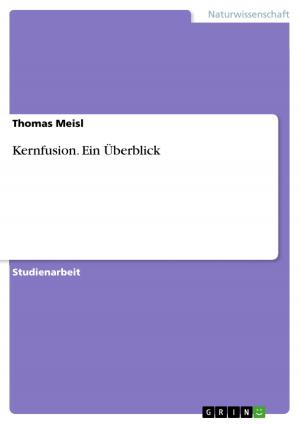 Cover of the book Kernfusion. Ein Überblick by Kamila Urbaniak