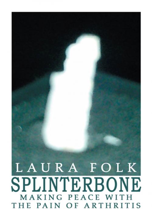 Cover of the book Splinterbone by Laura Folk, iUniverse