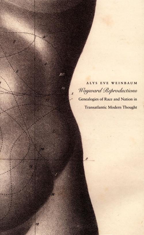 Cover of the book Wayward Reproductions by Inderpal Grewal, Caren Kaplan, Robyn Wiegman, Alys Eve Weinbaum, Duke University Press