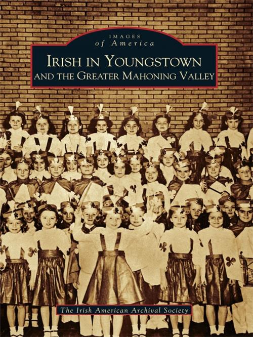 Cover of the book Irish in Youngstown and the Greater Mahoning Valley by The Irish American Archival Society, Arcadia Publishing Inc.