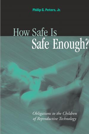 Cover of the book How Safe Is Safe Enough? by Ethan Katsh, Orna Rabinovich-Einy