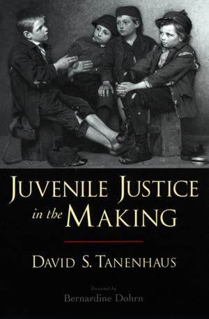 Cover of the book Juvenile Justice in the Making by Susan A. Gelman