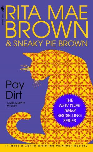 Cover of the book Pay Dirt by Melanie Benjamin